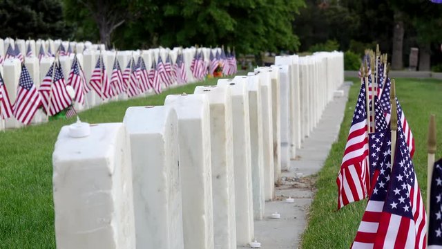 Profile of Military Headstones and a Man Touches one of the Headstones