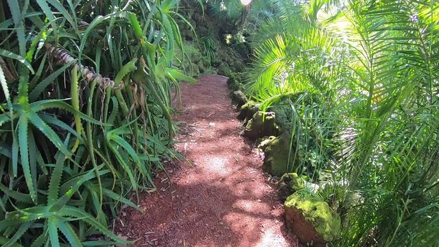 Ant&oacute;nio Borges garden in Ponta Delgada, Azores