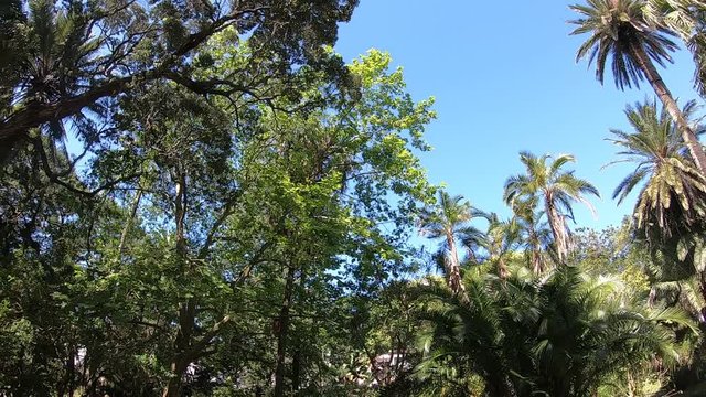 Ant&oacute;nio Borges garden in Ponta Delgada, Azores