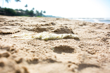 Plastic bag trash polluting a sandy beach vietnam