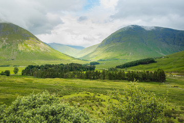 A Scottish Highland Landscape depicting a small copse of trees positioned close to a valley.