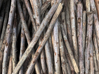 Wooden pile in construction site 