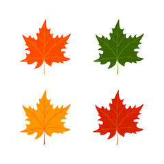 Set of autumn leaves on white background