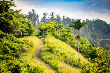 Campuhan ridge walk, Ubud, Bali, Indonesia
