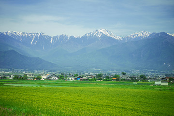 Obraz premium Rural farming life near the iceberg in the morning