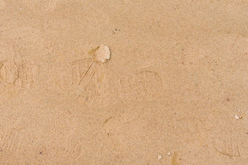 Texture, sand, it can be used as a background