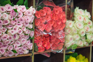 Colorful beautiful fresh flowers for sale on the market.