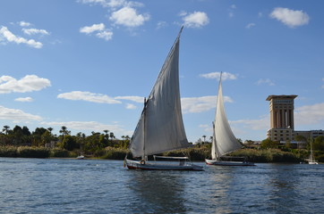 Obraz premium Sailboats on Nile River, Egypt