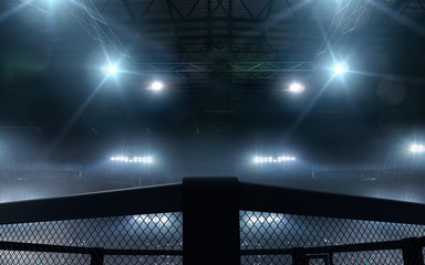 3D render MMA arena. MMA octagon cages.