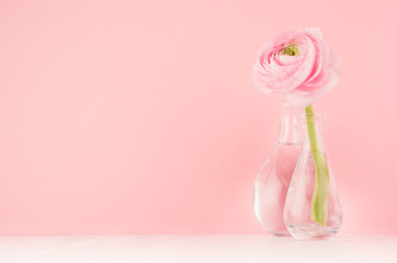 Festive decoration for home with pink buttercup flower on soft light white wood board, design for wedding, valentine day, birthday, gift.