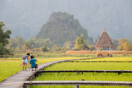Tourists taking photo at wooden bridge in middle of rice field in VangVieng,Laos