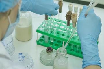 The scientist conducts research in the laboratory. Biotechnologies.