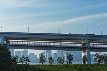 お台場　レインボーブリッジの風景