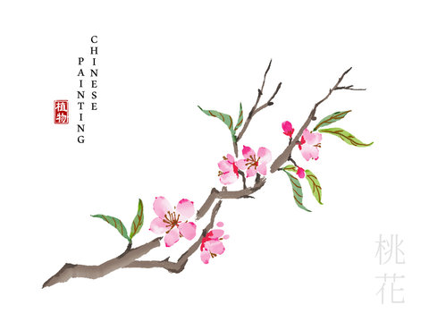 Peach Blossom Images – Browse 18,962 Stock Photos, Vectors, and Video