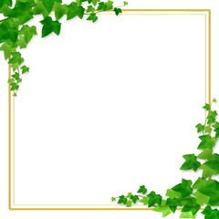 フレーム　若葉　枠　新緑　額縁　コルクボード　kokutibann