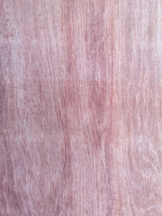 burr wood surface texture background material