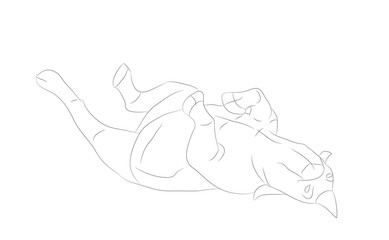 vector illustration of rhino that lies, drawing by lines, vector