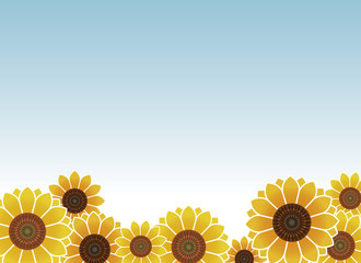 Sun flower vector illustration background