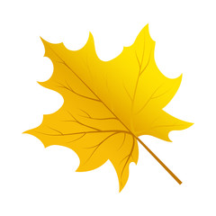Autumn Tree Leaf