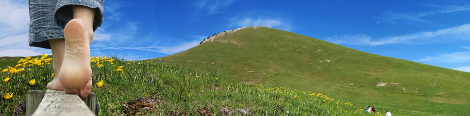 Alpage en Chartreuse - le charmant som