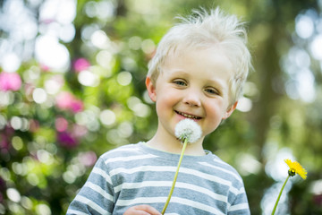 Pusteblume