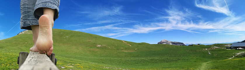 Fototapeta na wymiar Alpage en Chartreuse - le charmant som
