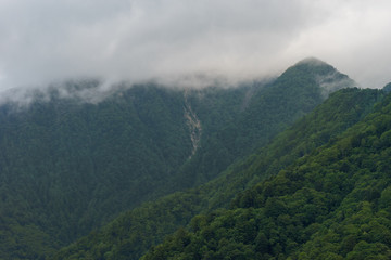 Obraz na płótnie Canvas Mountain in the mist