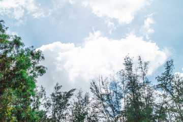 Green foliage background cloudy sky