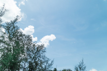 Green foliage background cloudy sky