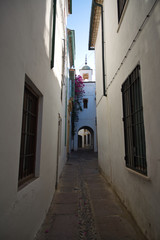 Obraz premium Narrow street in Cordova. Andalusia, Spain.