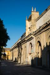 Patio of the orange trees. Mosque of Cordoba. Andalusia, Spain.