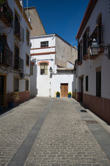 Street of Cordova. Andalusia, Spain.