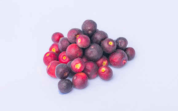 Phalsa Images – Browse 290 Stock Photos, Vectors, and Video | Adobe Stock