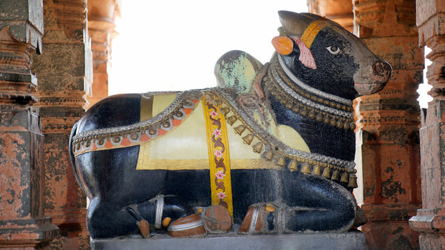 Nandi in at Sangmeshwar temple, Saswad, Pune