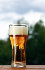 Glass Of Beer