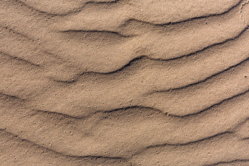 Fototapeta na wymiar Texture of sea sand on the beach