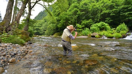 初夏・渓流フィッシング