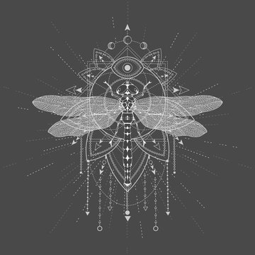 Vector illustration with hand drawn Dragonfly and Sacred symbol LOTUS on black background. Abstract mystic sign. White linear shape.