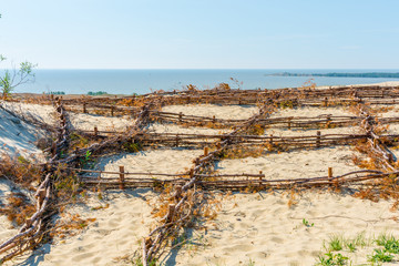 Technology to strengthen the sand dunes 