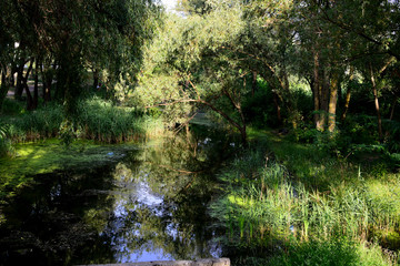  Old abandoned park with lake