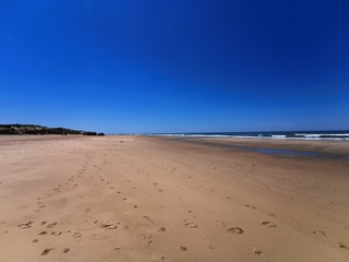 fracne atlantic coast beach summer
