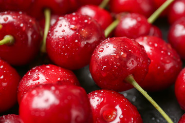 Tasty ripe cherry with water drops, closeup