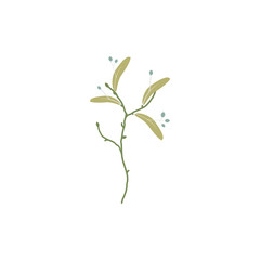 Linden twig. Lime blossom. Vector flat illustration. Icon on white