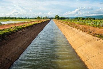 Irrigation Canal in Rice Farm