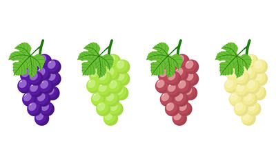 Set of different grapes isolated on white background. Bunch of purple, green, red, white grapes with stem and leaf. Cartoon style. Vector illustration for any design. - obrazy, fototapety, plakaty