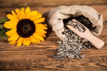 Sunflower flower and sunflower seeds in a sack. Sunflower oil products on a wooden table