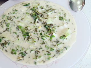 the first dish fridge from fresh vegetables with kefir