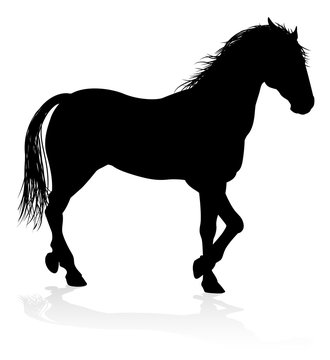 A high quality very detailed horse in silhouette