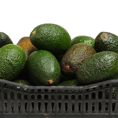 Avocado on a white background