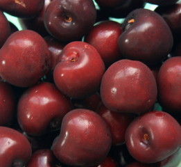 Red fruits cherry cherries at summer
